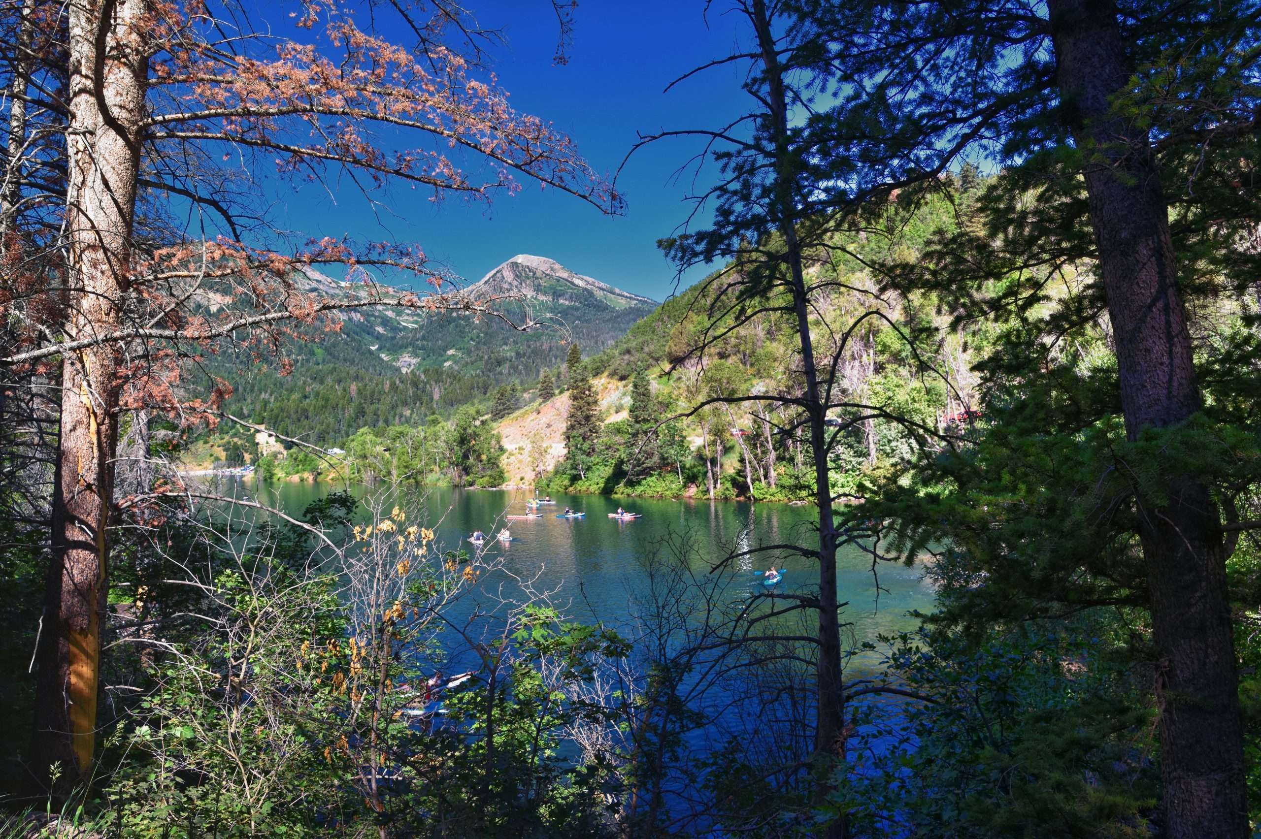 Francis, UT