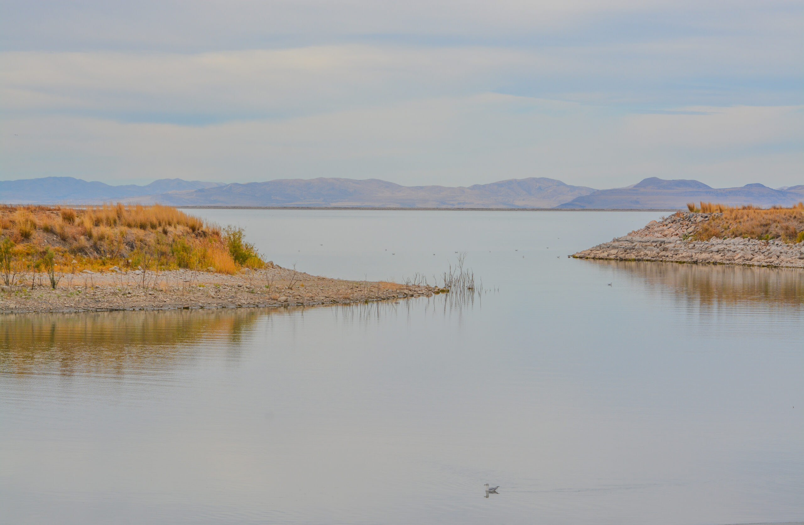 Henefer, UT