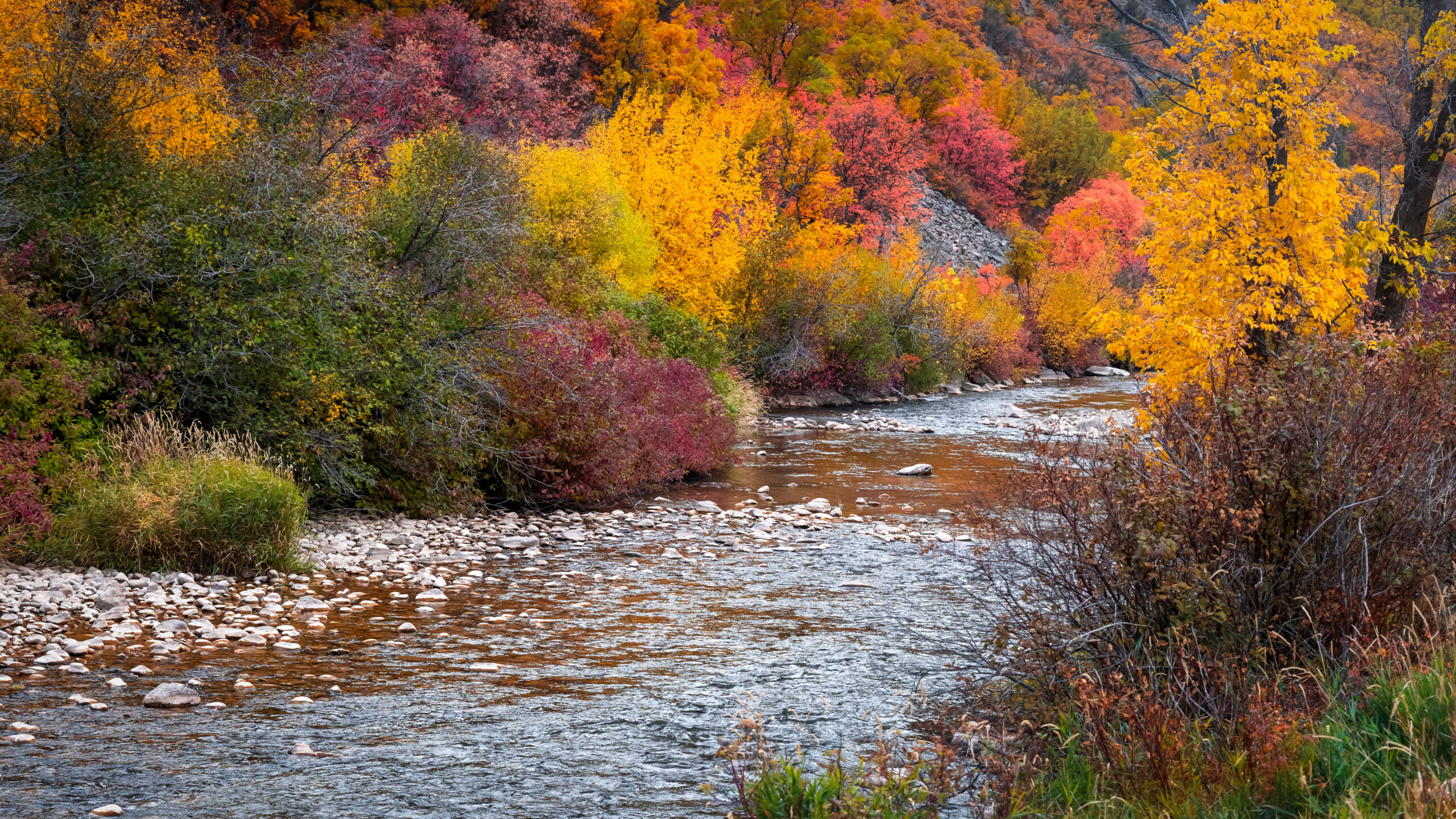 South Ogden, UT